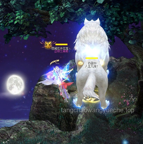 **今夜，无眠！那些与夜晚较劲的日子🌙**